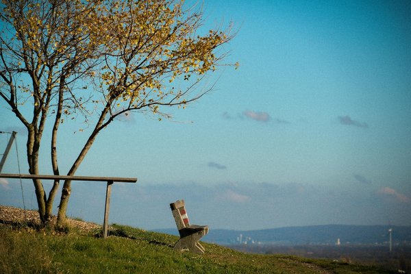 L'éco-thérapie: être en bonne santé grâce à la nature